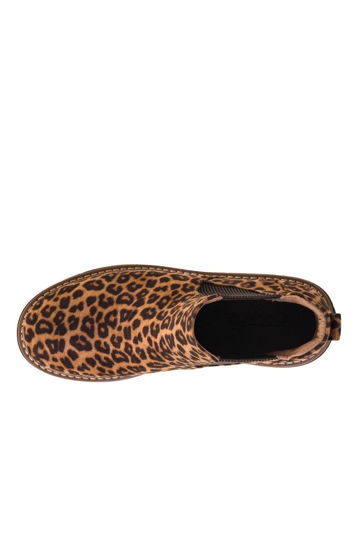 It's Chilly In Leopard Boot - Desert Sunday