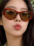 Cat Eye Sunglasses - Desert Sunday