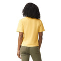 Comfort Color Boxed Tee in Black - Desert Sunday