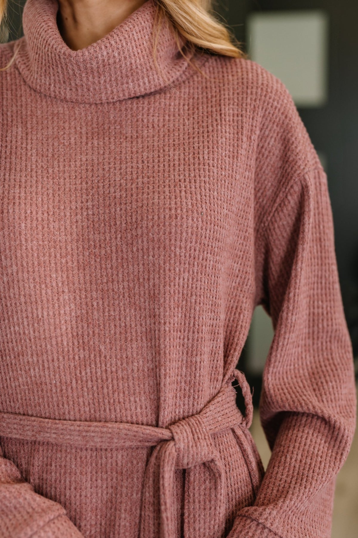 Travel Plush Knit Dress in Autumn Berry - Desert Sunday